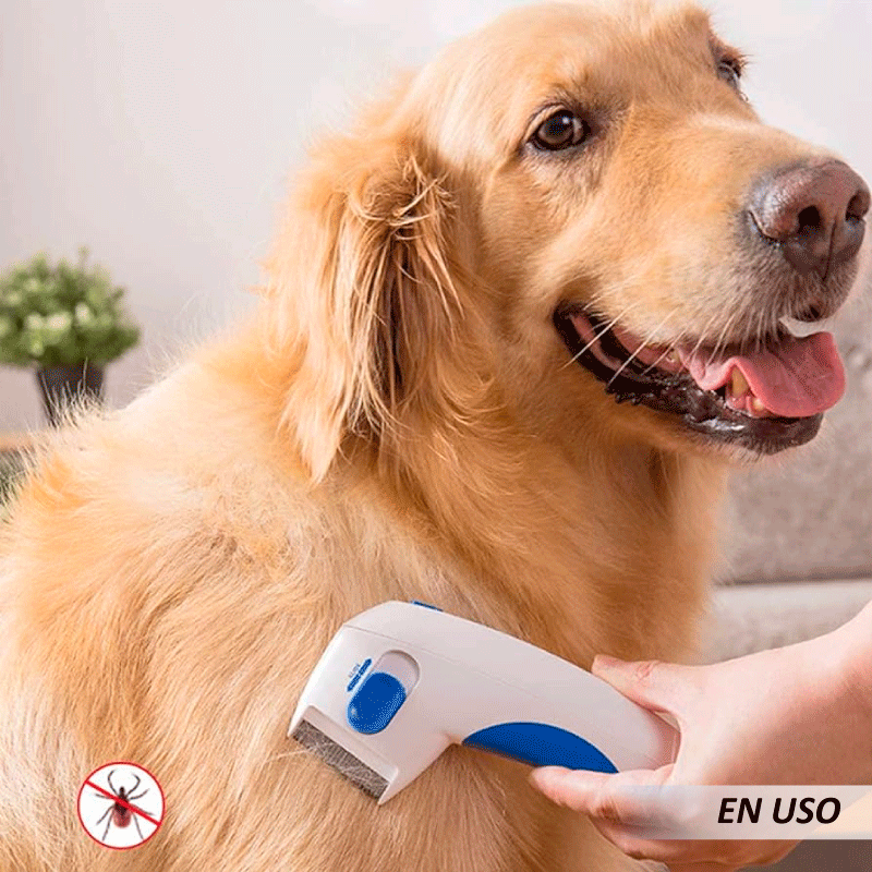 Cepillo eléctrico antipulgas - Imagen 5